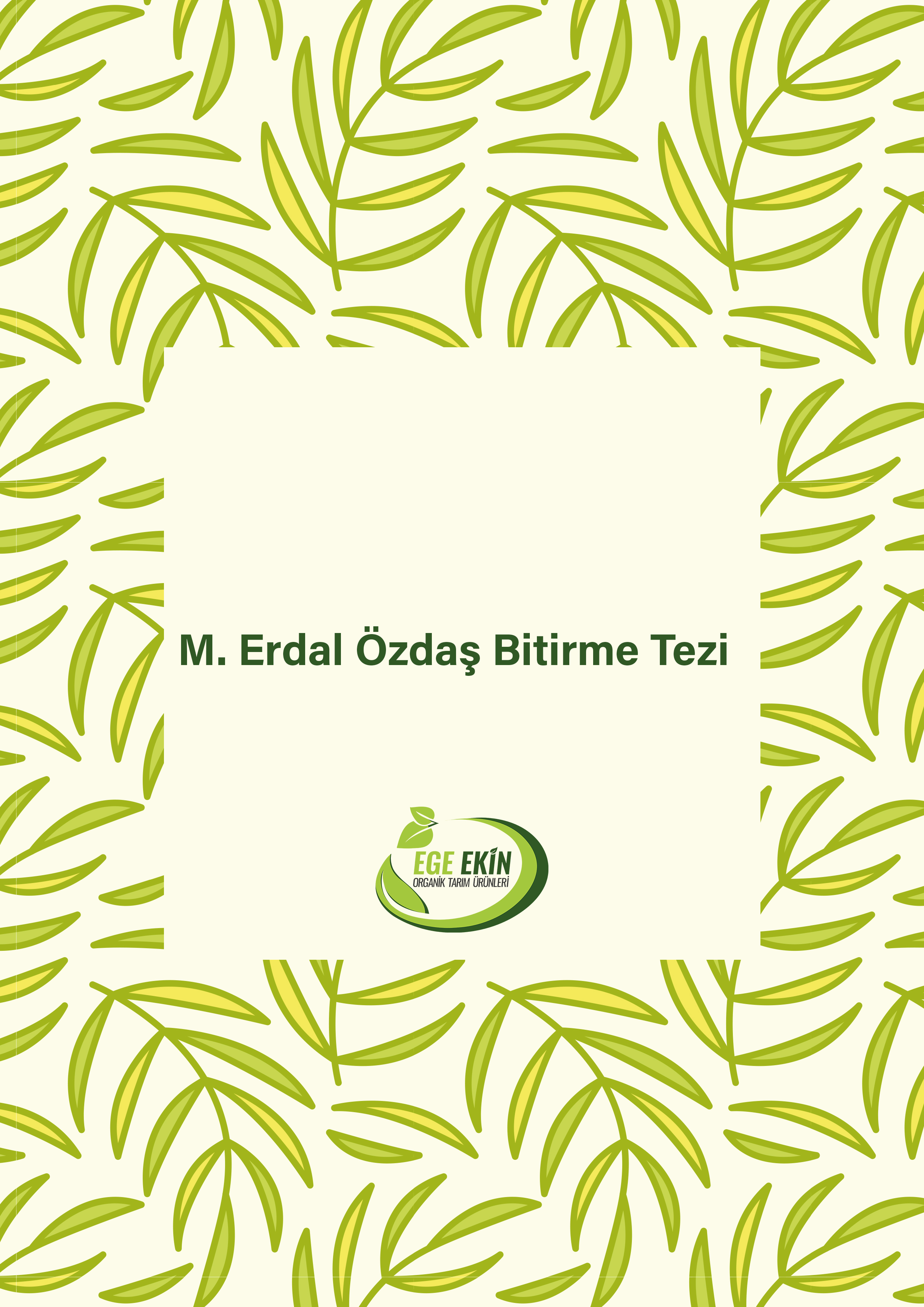 MİRAÇ ERDAL ÖZDAŞ LİSANS BİTİRME TEZİ